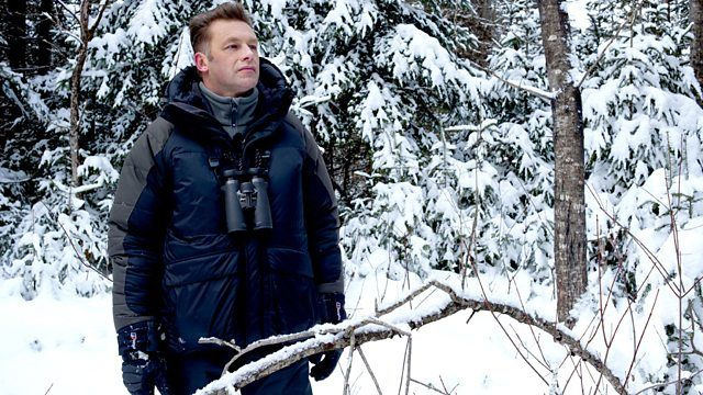 Как устроена природа — s01e03 — The Magical Forest