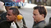 CSI: Место преступления Нью-Йорк — s04e11 — Child's Play