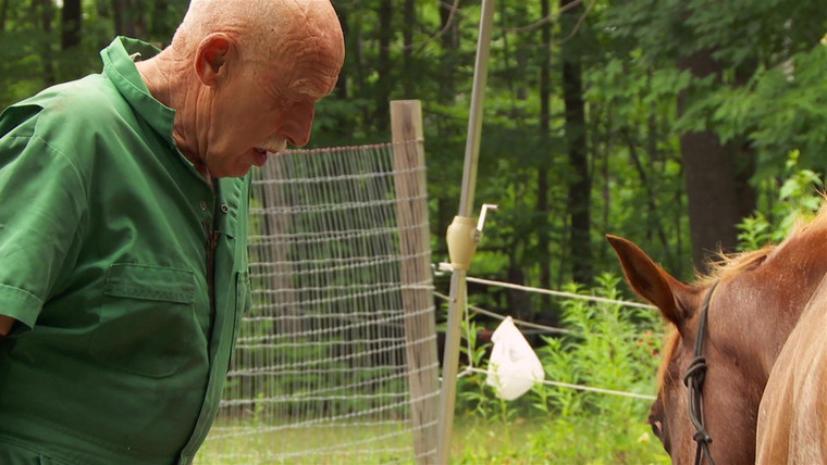 The Incredible Dr. Pol — s19e02 — Dramatic Paws