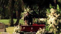 CSI: Место преступления Майами — s04e01 — From the Grave