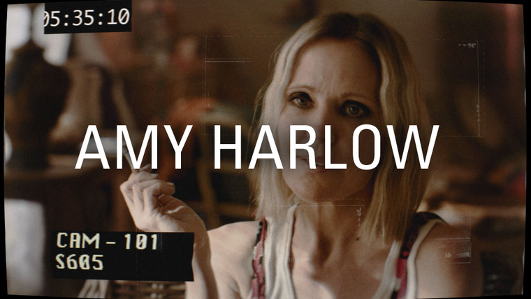 Interrogation — s01e09 — P.I. Charlie Shannon vs Amy Harlow 2003