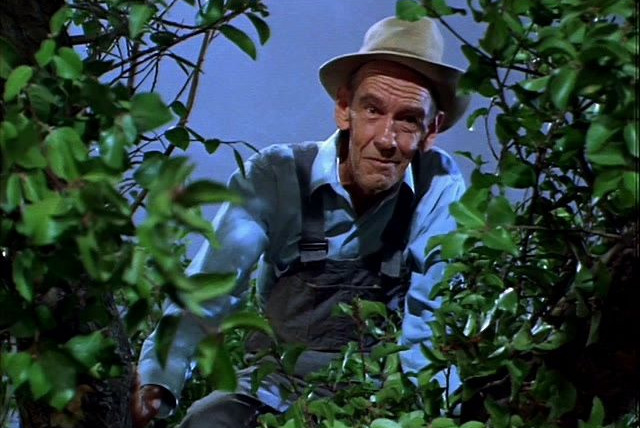 Зеленые просторы — s01e16 — Give Me Land, Lots of Land