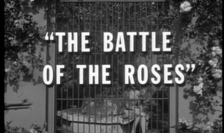 В бою — s01e26 — The Battle of the Roses