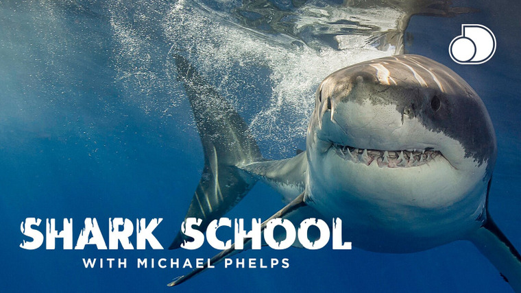 Shark Week — s2017e17 — Shark School With Michael Phelps