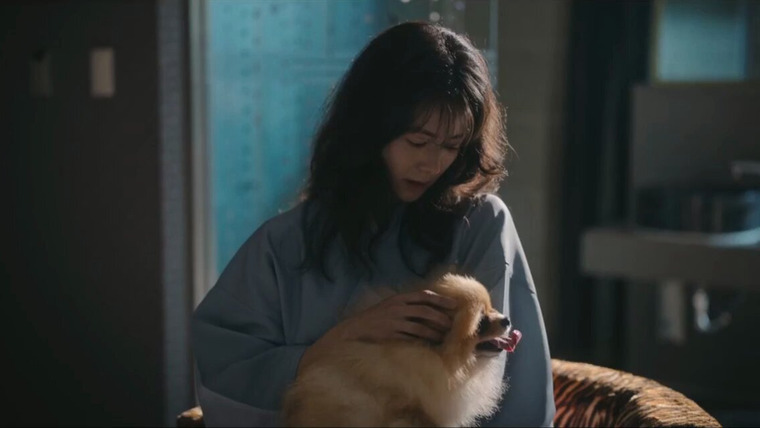 Разоблачение — s01e08 — The Vanished Witness
