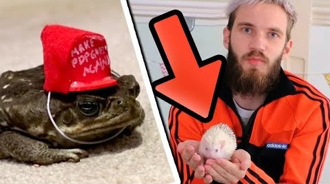 PewDiePie — s08e262 — CRAFTING FOR MY PETS