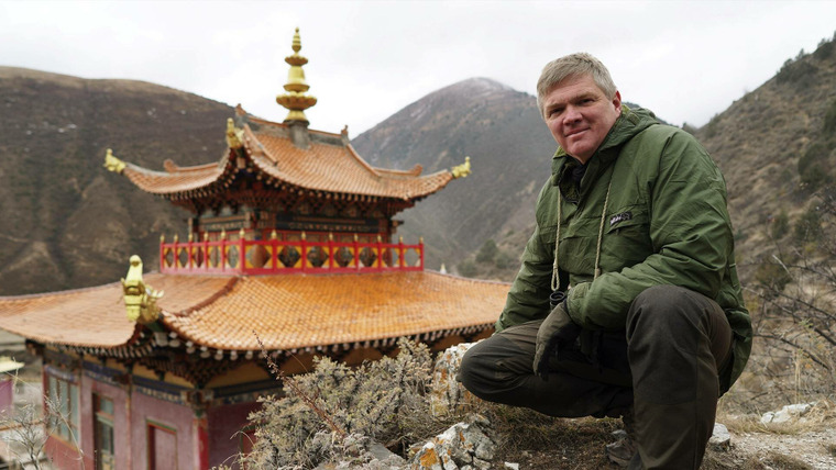 Wild China with Ray Mears — s01e06 — China's Brown Bears
