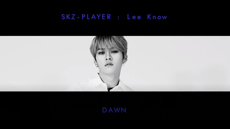 Stray Kids — s2019e189 — [SKZ-PLAYER] Lee Know — Dawn