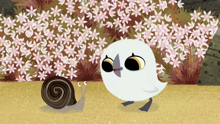 Puffin Rock — s02e38 — Super Snail