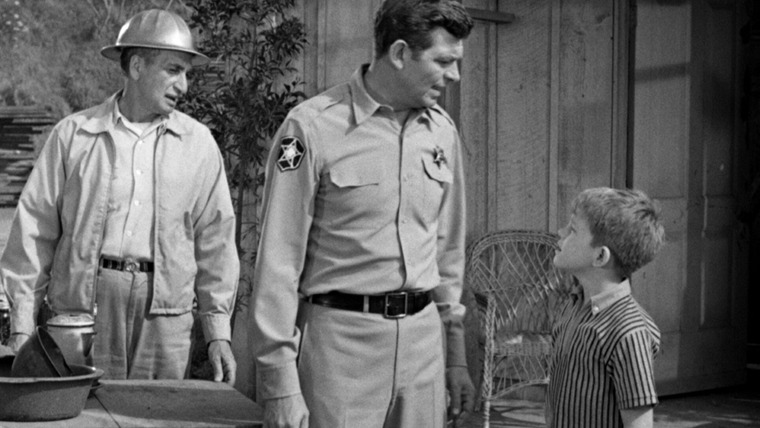 Шоу Энди Гриффита — s04e15 — Aunt Bee the Crusader