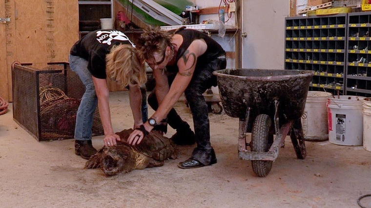 Billy the Exterminator — s06e07 — Claws and Jaws