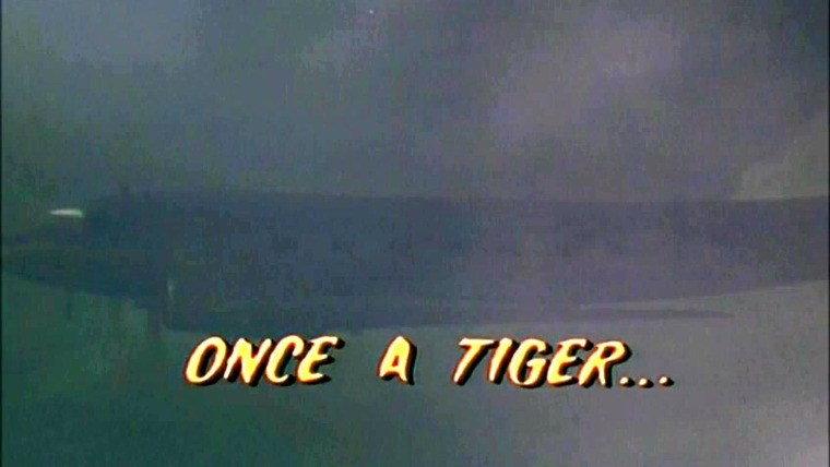 Сказки Золотой обезьяны — s01e08 — Once a Tiger...
