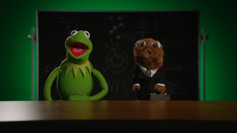 Muppets Now — s01e06 — Socialized
