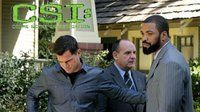 CSI: Crime Scene Investigation — s08e14 — Drops' Out