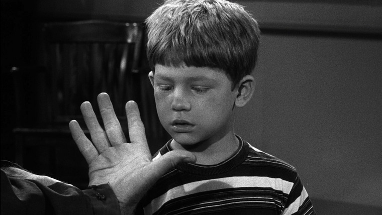 The Andy Griffith Show — s02e06 — Opie's Hobo Friend