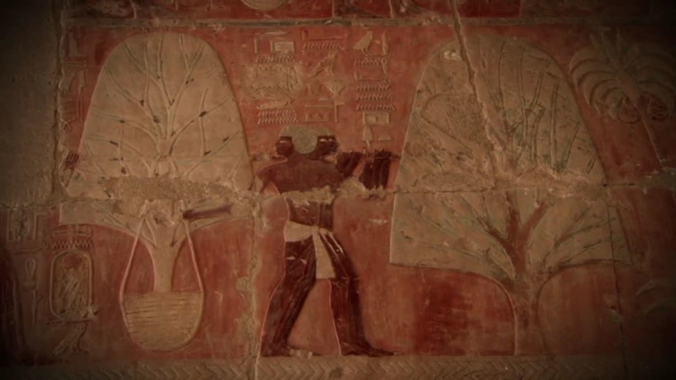 Egypt's Unexplained Files — s01e04 — Tut's Curse: The New Evidence