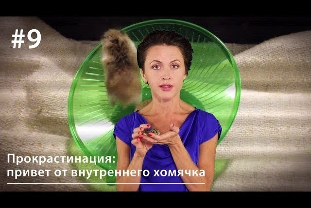 Всё как у зверей — s01e09 — ВКУЗ #9. Прокрастинация: привет от внутреннего хомячка