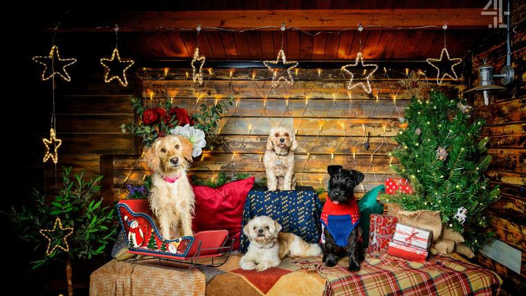 The Dog House — s02 special-1 — The Dog House at Christmas