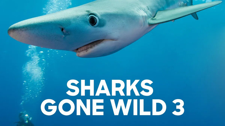 Shark Week — s2020e22 — Sharks Gone Wild 3