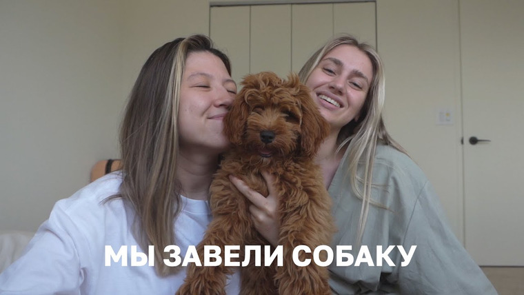 SEVENTEENINE — s2021e08 — 100. КАК МЫ РЕШИЛИСЬ НА ПОПОЛНЕНИЕ?