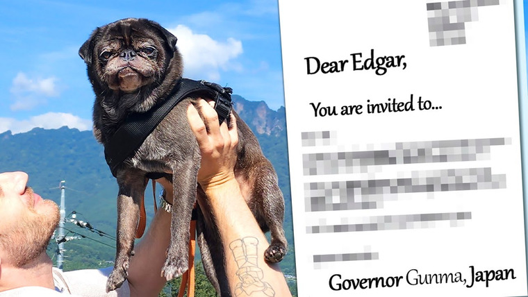 ПьюДиПай — s13e58 — My Dog was invited by The Governor of Japan (Gunma)