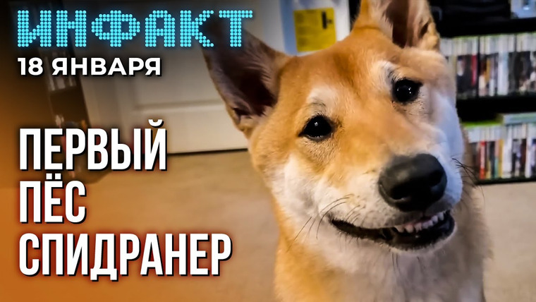 Инфакт — s10e09 — Глава Larian против подписочных сервисов, новый сезон в Sea of Thieves и Diablo 4, пёс-спидранер…