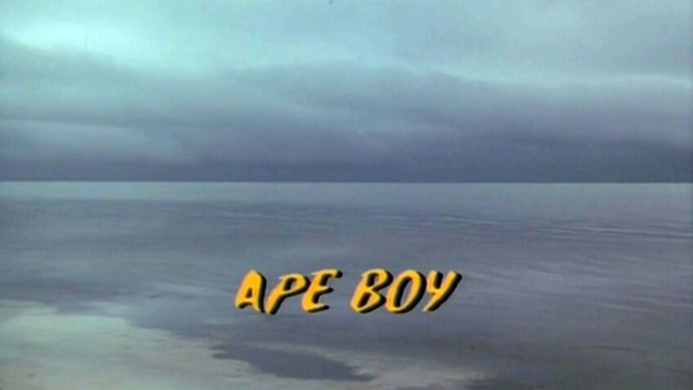 Сказки Золотой обезьяны — s01e13 — Ape Boy