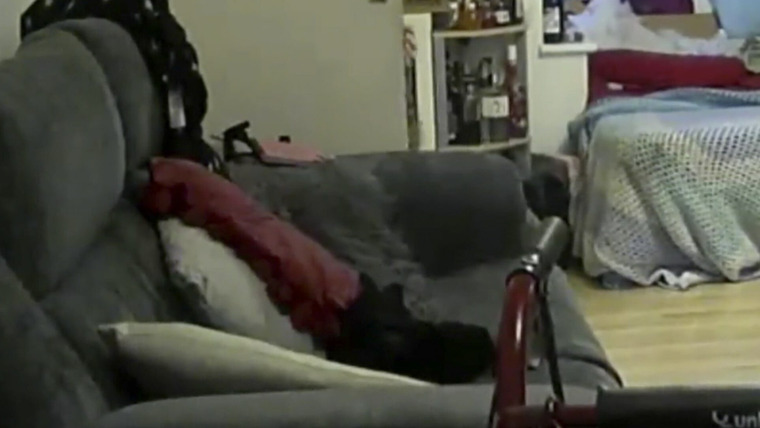 Paranormal Caught on Camera — s03e13 — Ghost Kitty and More