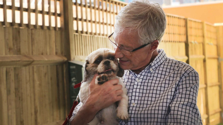 Paul O'Grady: For the Love of Dogs — s10e05 — Episode 5