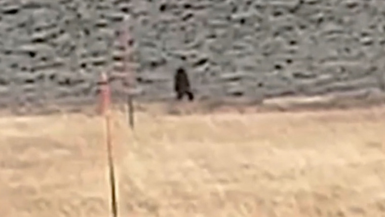 Paranormal Caught on Camera — s05e17 — Utah Sasquatch and More