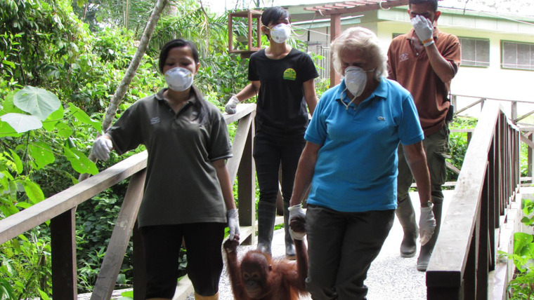 Meet the Orangutans — s01e05 — Dealing with Stubbornness and Illness