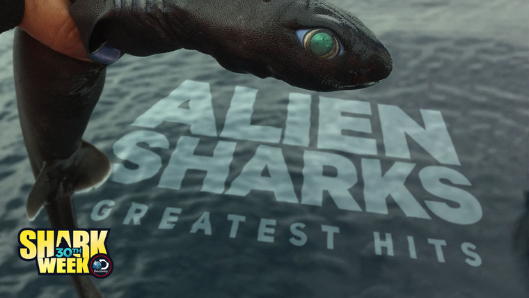 Shark Week — s2018e01 — Alien Sharks: Greatest Hits