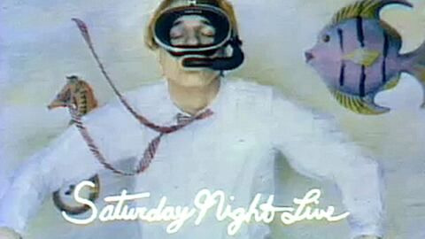 Субботним вечером в прямом эфире — s05e19 — Steve Martin / Paul & Linda McCartney