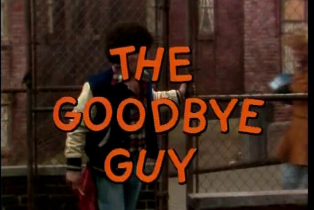 Добро пожаловать назад, Коттер — s04e16 — The Goodbye Guy