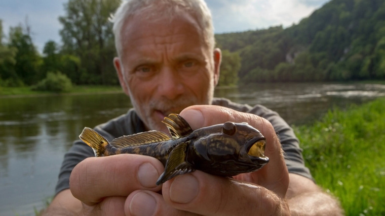 Jeremy Wade's Mighty Rivers — s01e04 — The Danube