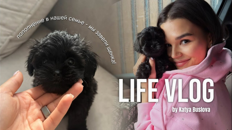 Катя Буслова — s2026e16 — VLOG: пополнение в нашей семье - мы завели щенка! вся история появления и как проходят наши будни!