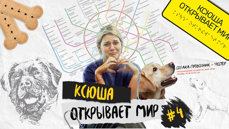 Дукалити — s2022e13 — Какие собаки могут стать поводырями, как правильно обращаться к слепым и нужна ли им ваша помощь?