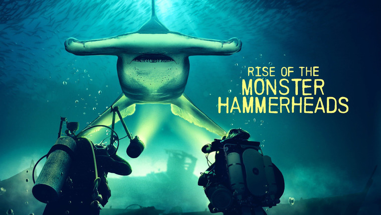 Shark Week — s2022e06 — Rise of the Monster Hammerheads