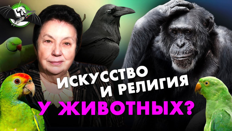 Ученые против мифов — s12e12 — Мыслят ли животные? Зоя Зорина. Ученые против мифов 12-12