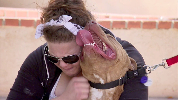 Pit Bulls & Parolees — s05e08 — Rescuing the Holidays