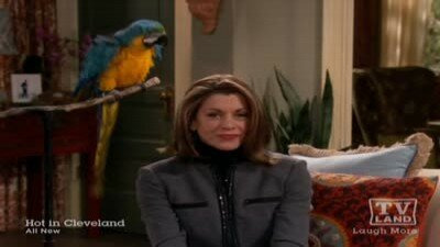 Hot in Cleveland — s03e12 — Lost Loves