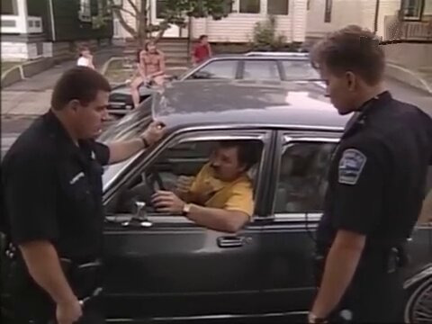 Полицейские — s08e17 — Buffalo, New York 6