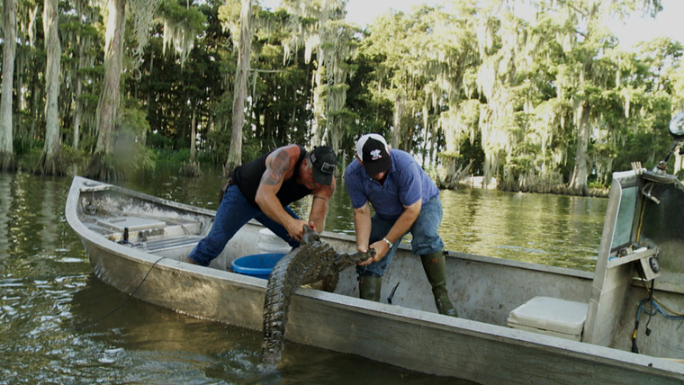 Swamp People — s10e08 — Raising the Stakes