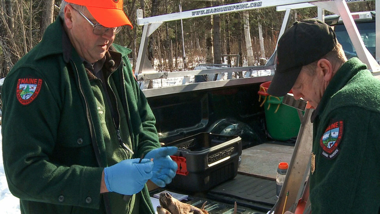 North Woods Law — s05e07 — Deer Detectives