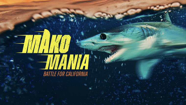 Shark Week — s2023e07 — Mako Mania: Battle for California
