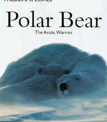 The Wildlife Specials — s01e02 — Polar Bear: The Arctic Warrior