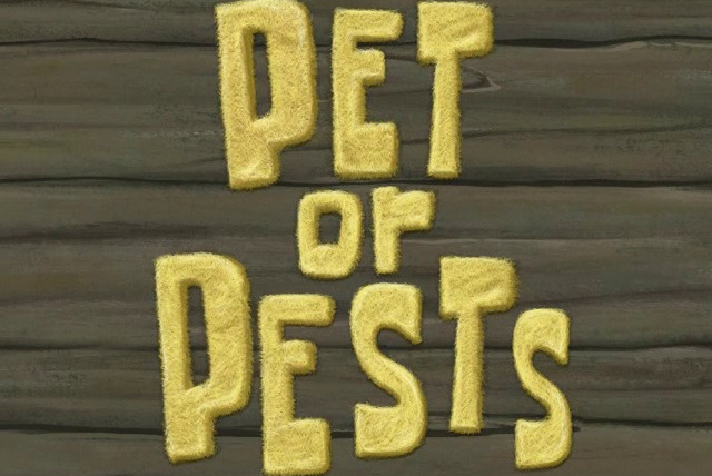 SpongeBob SquarePants — s06e34 — Pet or Pests