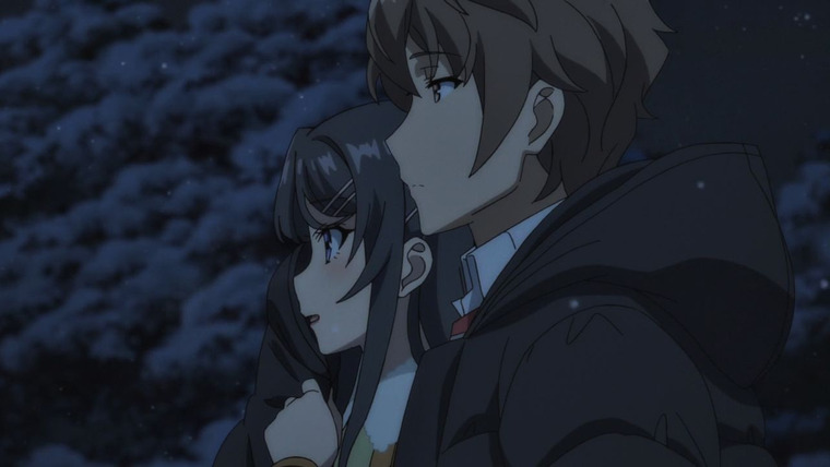 Seishun Buta Yarou wa Bunny Girl Senpai no Yume wo Minai — s01e13 — The Dawn After an Endless Night