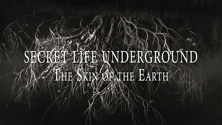 Secret Life Underground — s01e01 — Part 1: The Skin Of The Earth