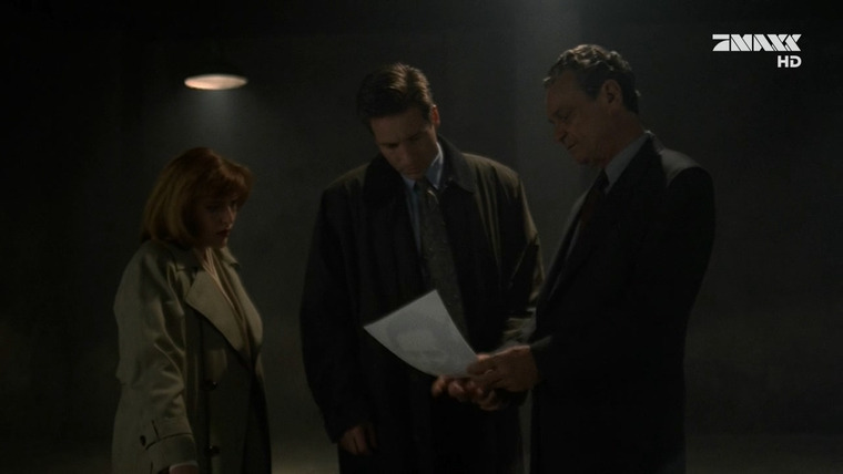 The X-Files — s01e24 — The Erlenmeyer Flask